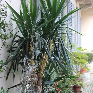 Dimora Boezio7, Cozy And Charming Place In Center With Private Parking Pavie